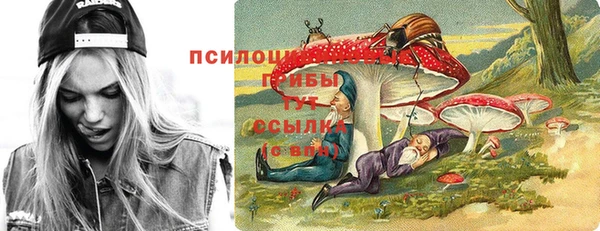 амф Лабытнанги