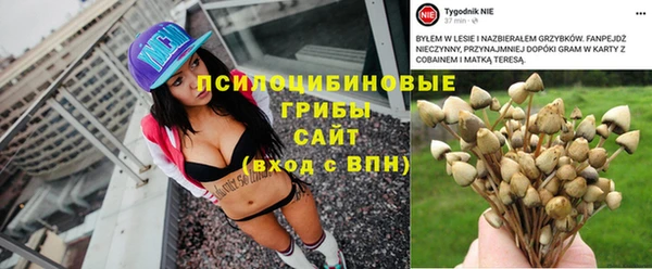 a pvp Кукмор