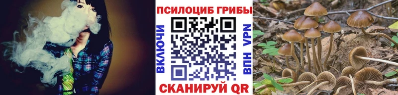 ОМГ ОМГ сайт  Феодосия  Псилоцибиновые грибы Cubensis 