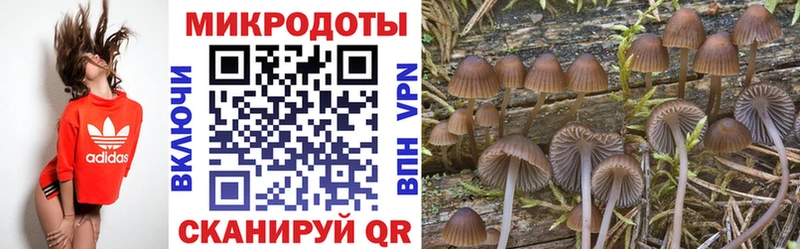 Галлюциногенные грибы прущие грибы Феодосия